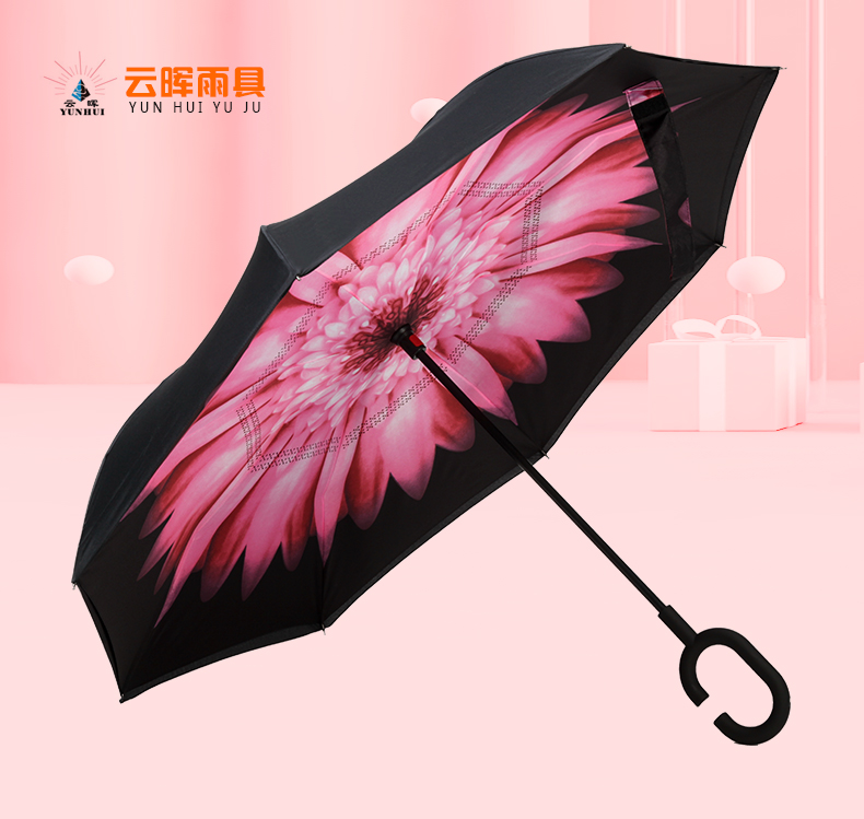 91蝌蚪在线视频伞